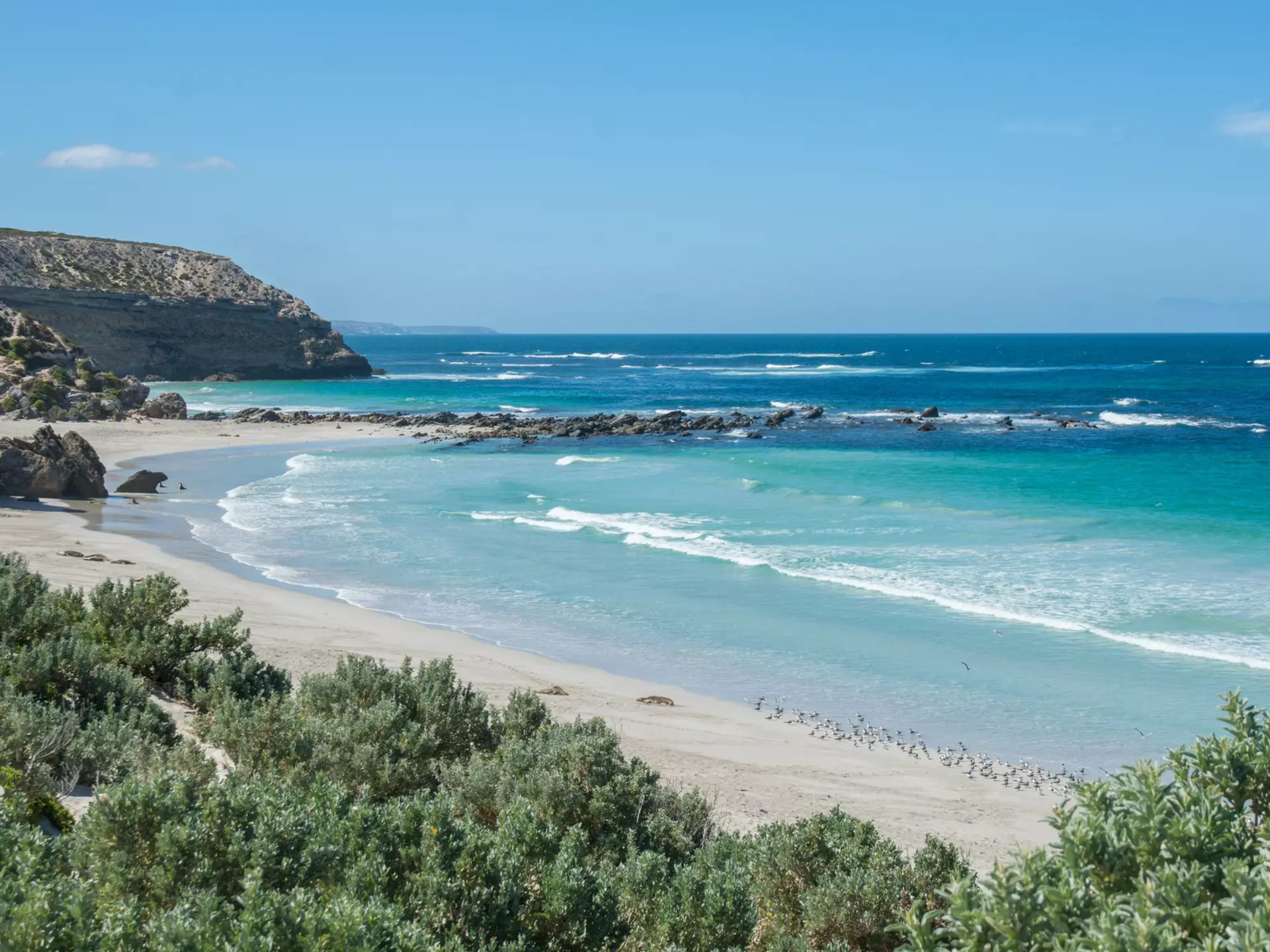 Seal Bay on Kangaroo Island, South Australia. Christopher Robin Smith Photography/Shutterstock