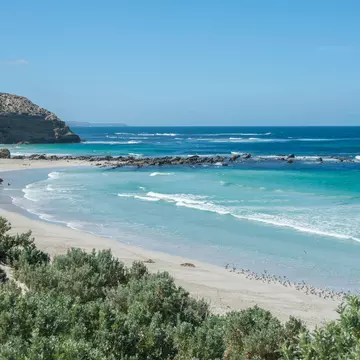 Seal Bay on Kangaroo Island, South Australia. Christopher Robin Smith Photography/Shutterstock