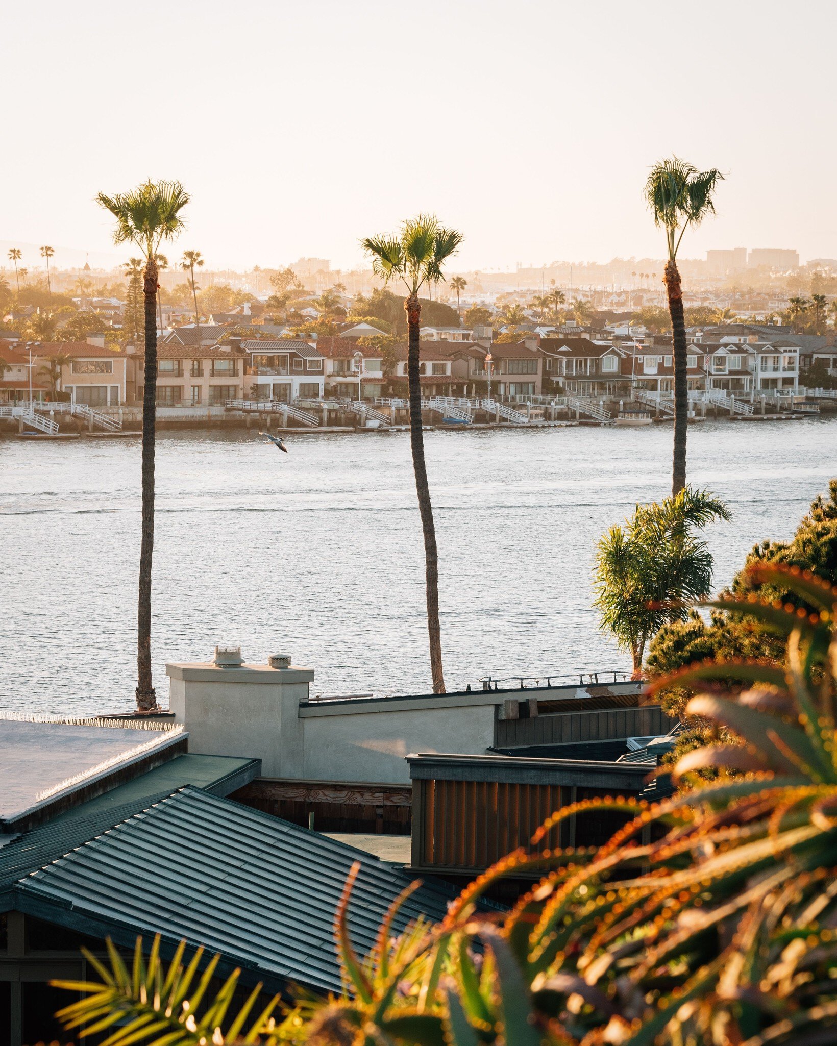 Newport Beach