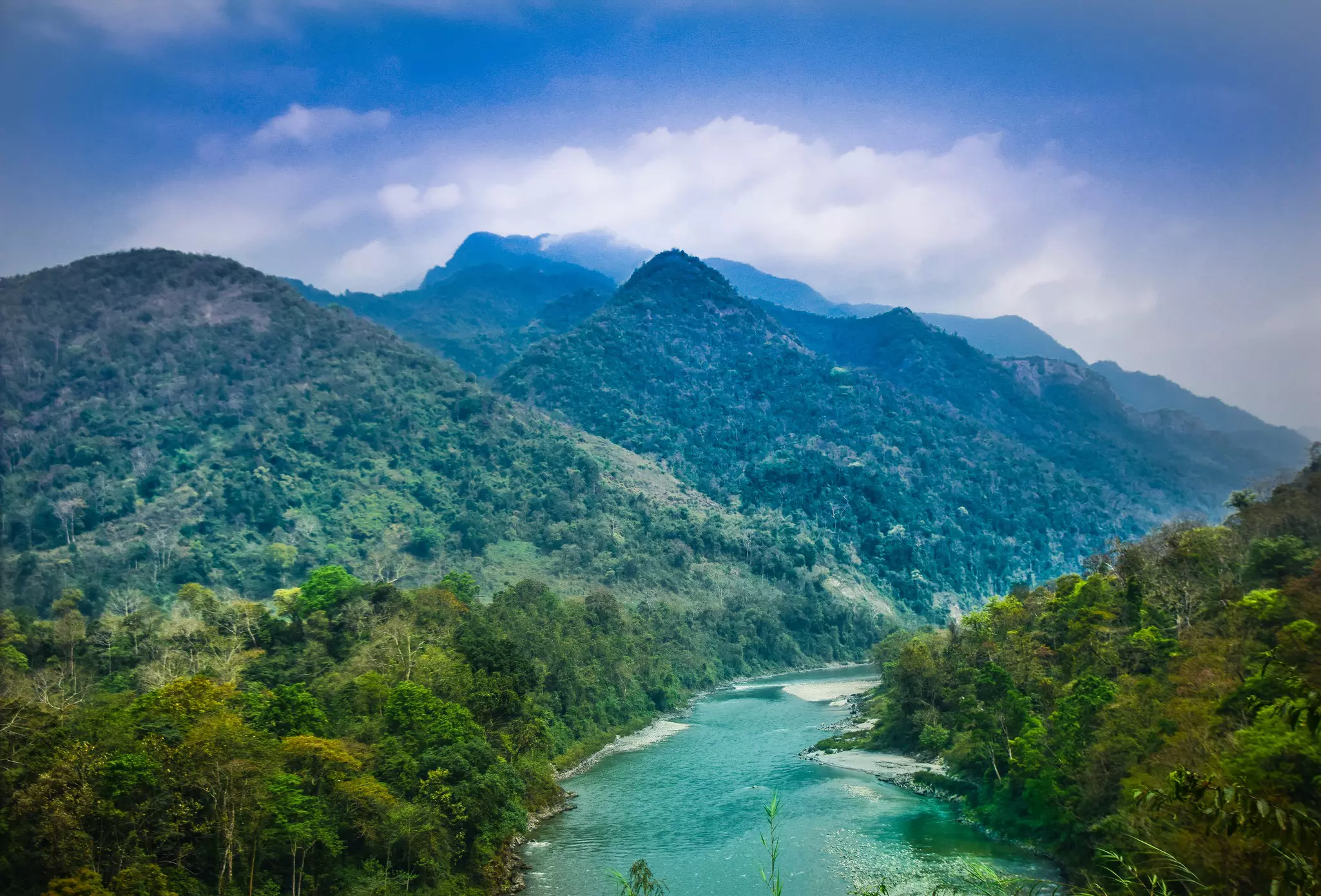 Bhutan’s forested, mountainous Royal Manas National Park is a marvel of biodiversity © Deepjyoti Kalita / Shutterstock