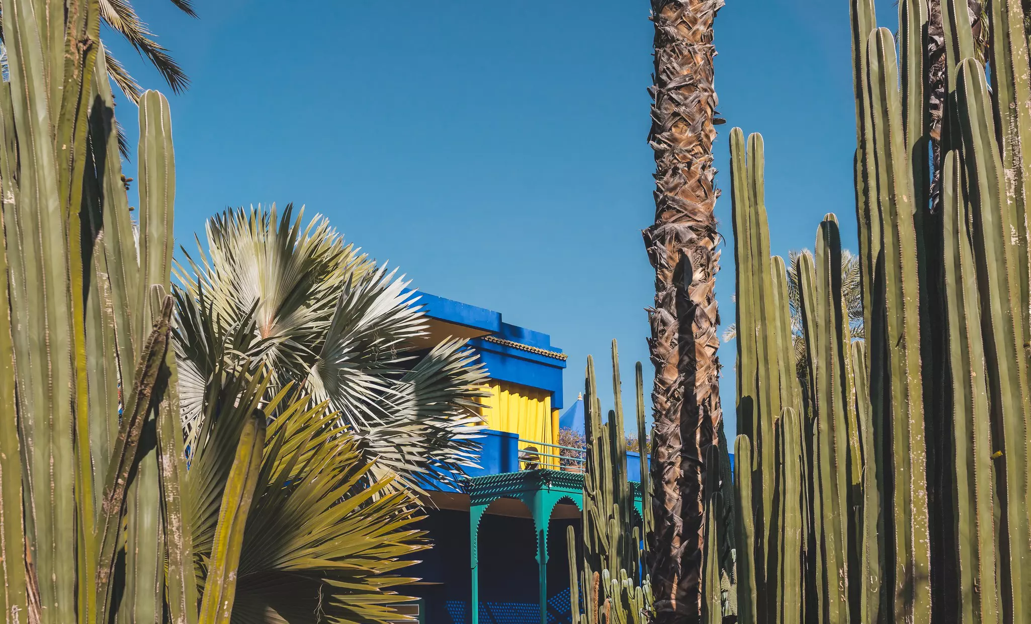 The beautiful Majorelle Garden (La Jardin Marjorelle) is a botanical ,tropical garden and artist's landscape garden in Marrakech, Morocco. Le Jardin has a water fountain painted in Majorelle Blue