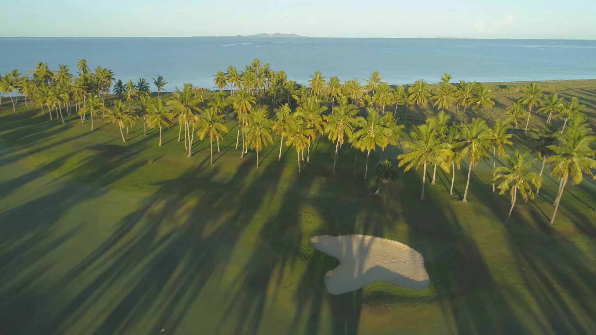 Long shadows of tall palm trees are cast across a coastal golfing fairway with a large sand bunker.