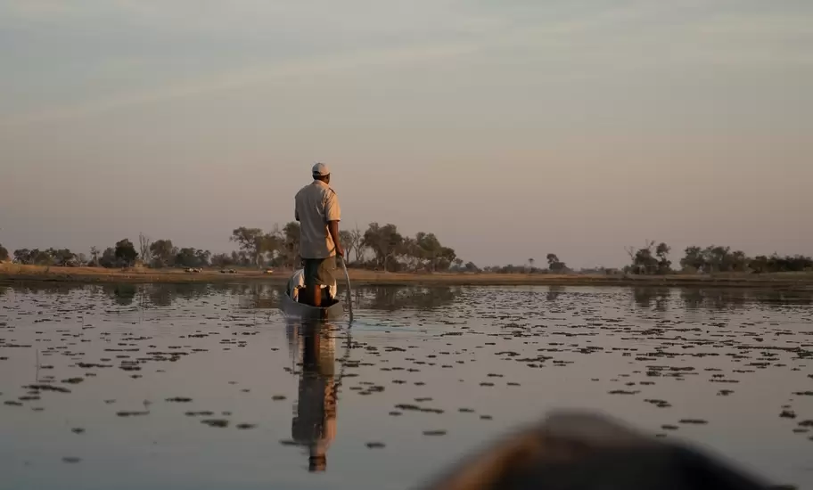 A guide poles a mokoro canoe across still water dotted with lily pads in Botswana's Okavango Delta at dusk
