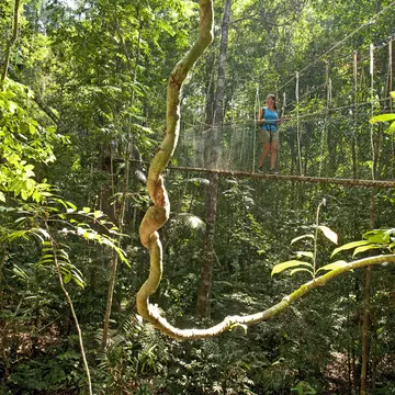 Woman walking on canopy walk over lush jungle, Taman Negara National Park.