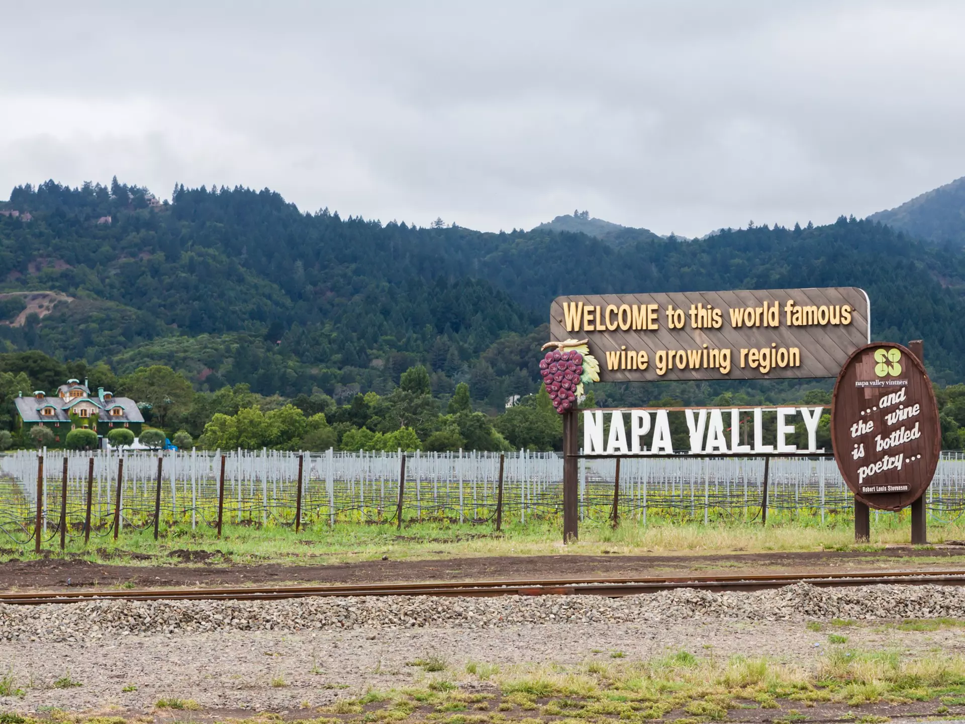 Get to know Napa Valley with our first-timer's guide. Oscity/Shutterstock