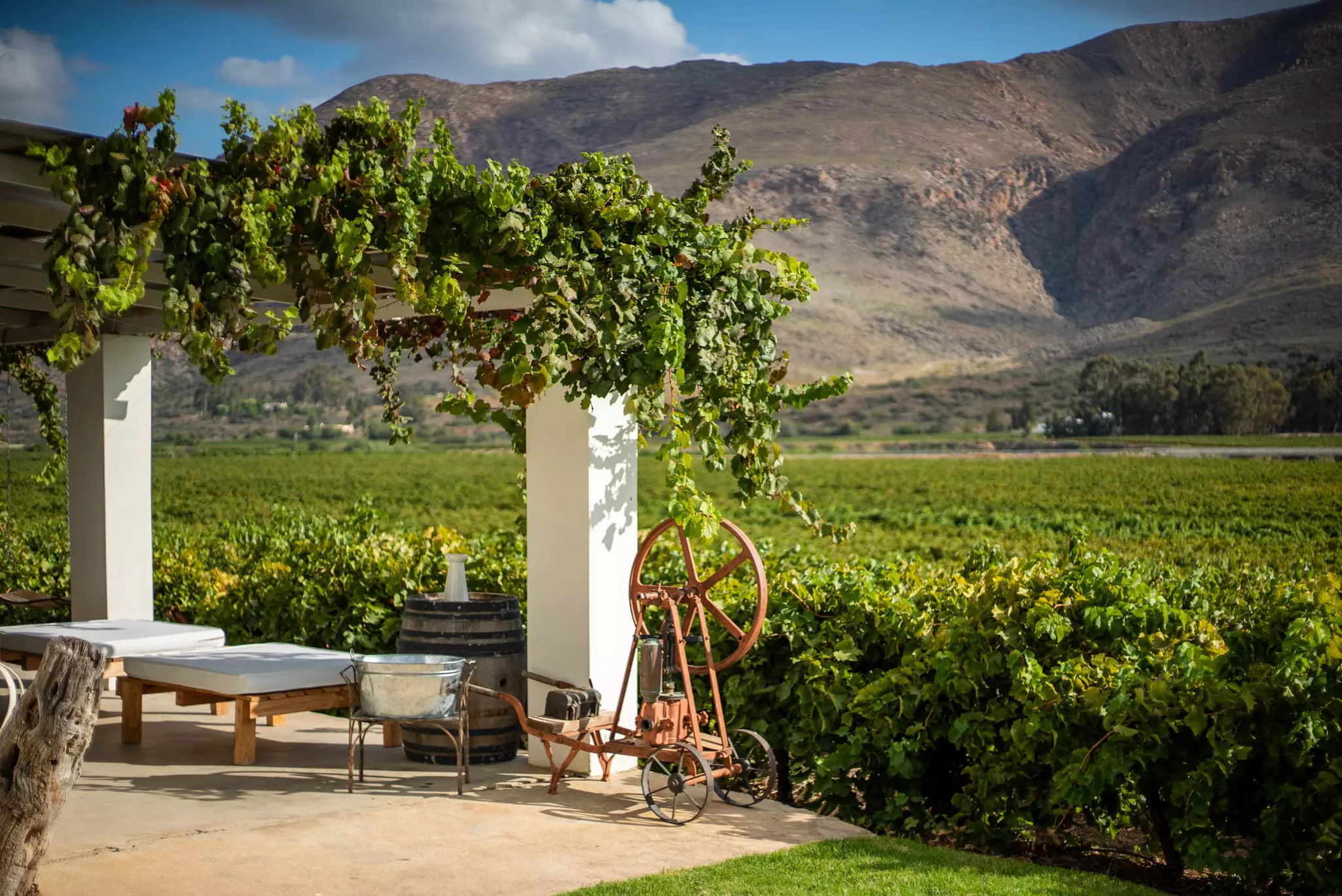 A patio abutting a lush vineyard, with brown mountains in the background