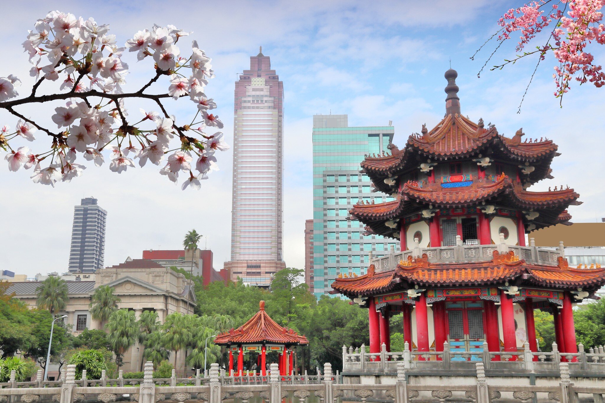 Springtime cherry blossoms in front of red pagodas and high-rise buildings in 2-28 Memorial Peace Park in Taipei, Taiwan.