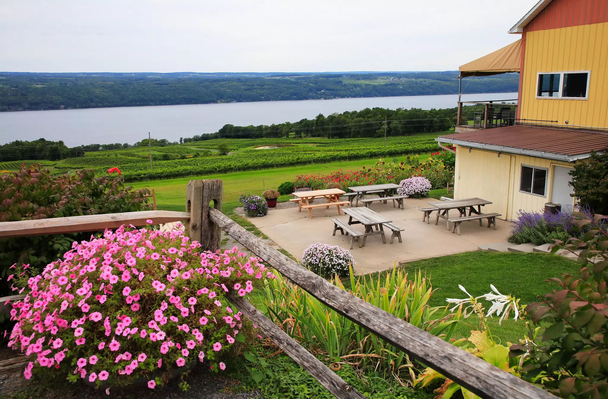 A wine tasting barn with picnic tables is next to a lake in New York; it is surrounded by a green lawn and a container of pink flowers is in the foreground.
