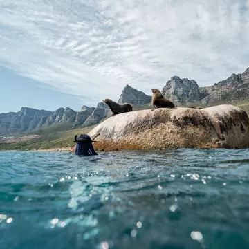 Cape Town, South Africa. Pier Nirandara for Lonely Planet