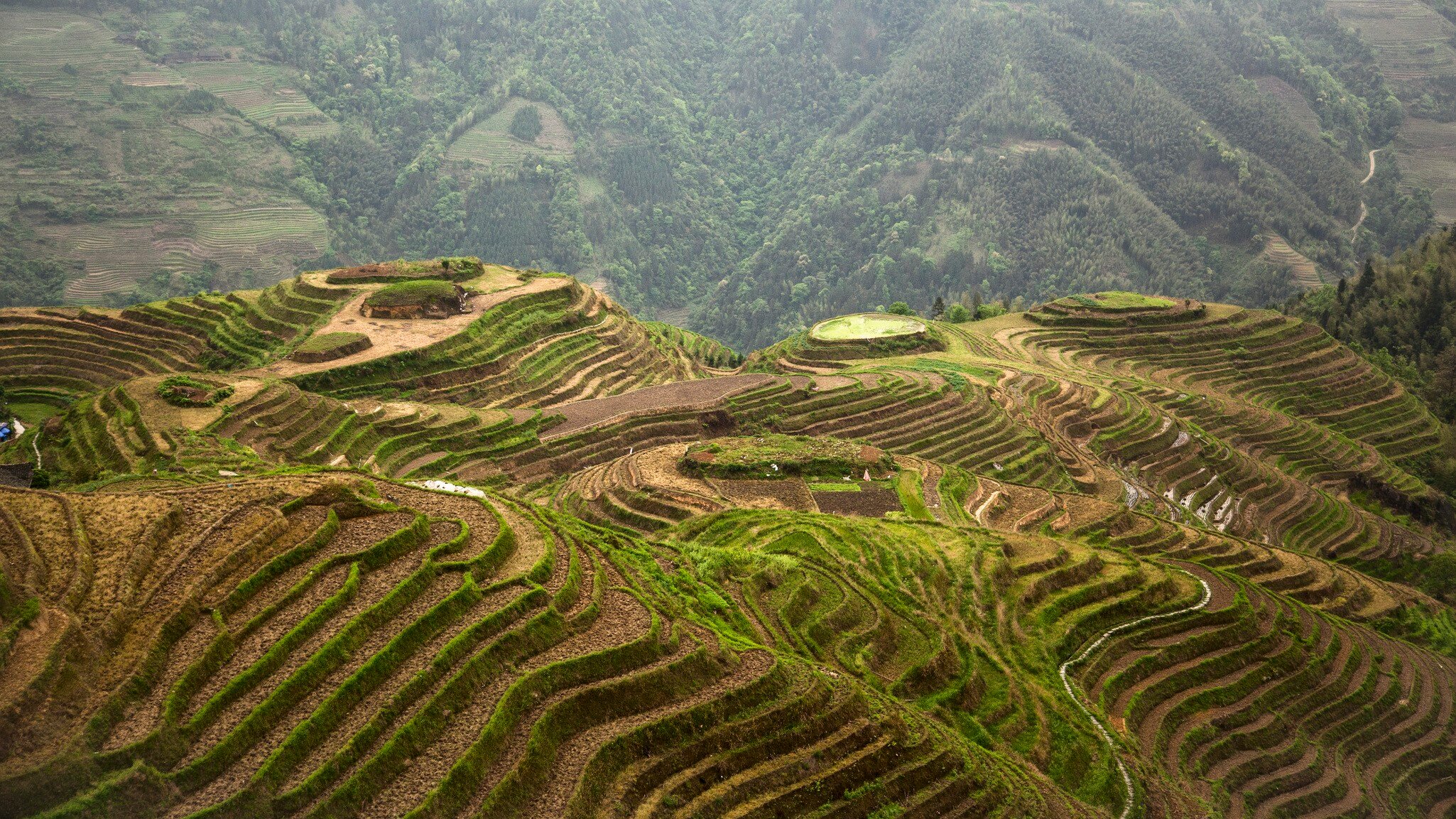 The Longji terraces area is famous for the excessively large number of terraced rice paddy fields on its mountain, which have created an intricate pattern on the hillsides. Set amongst the villages of the minorities Zhuang and Yao, the area allows...