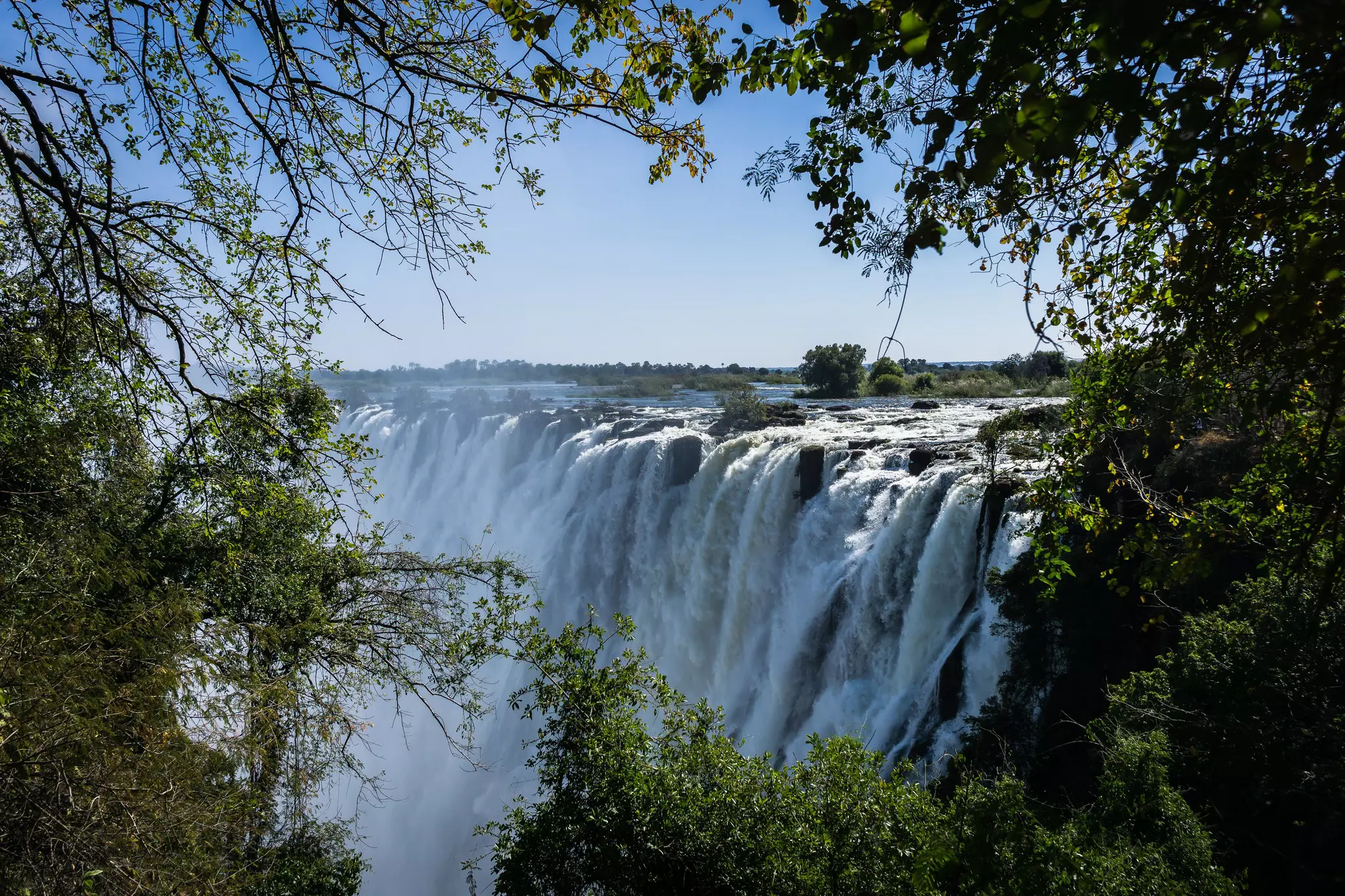A gushing waterfall seen through a frame of shrubbery