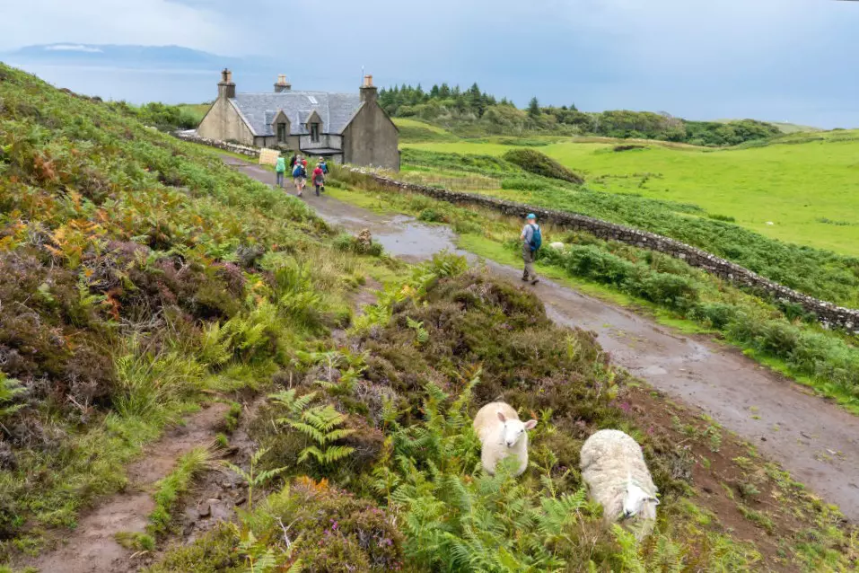 Hikers passing sheep and a farmhouse on the Isle of Eigg, Scotland.