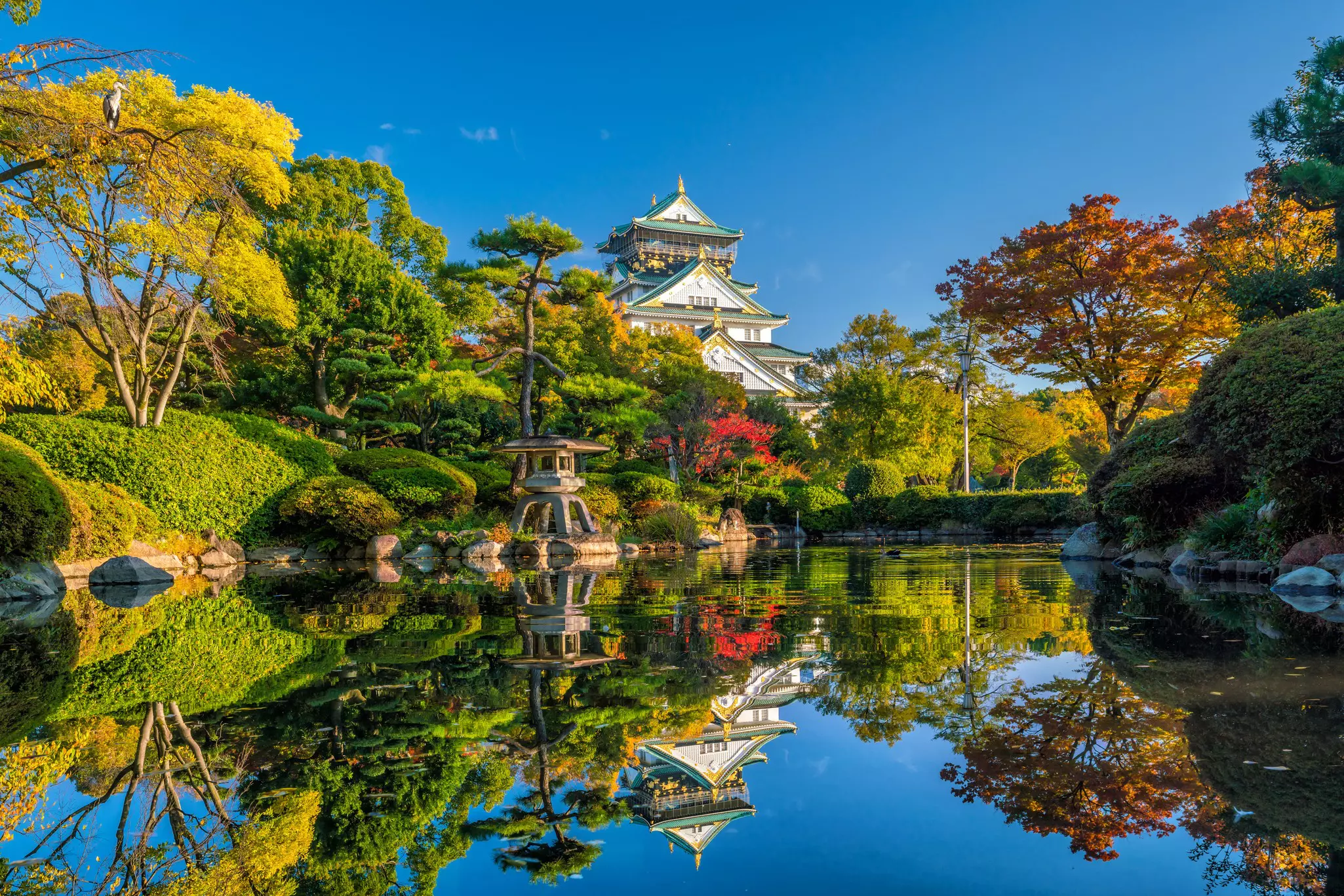 A pond reflects the colors of trees in autumn foliage. A tall tower is visible in the background.