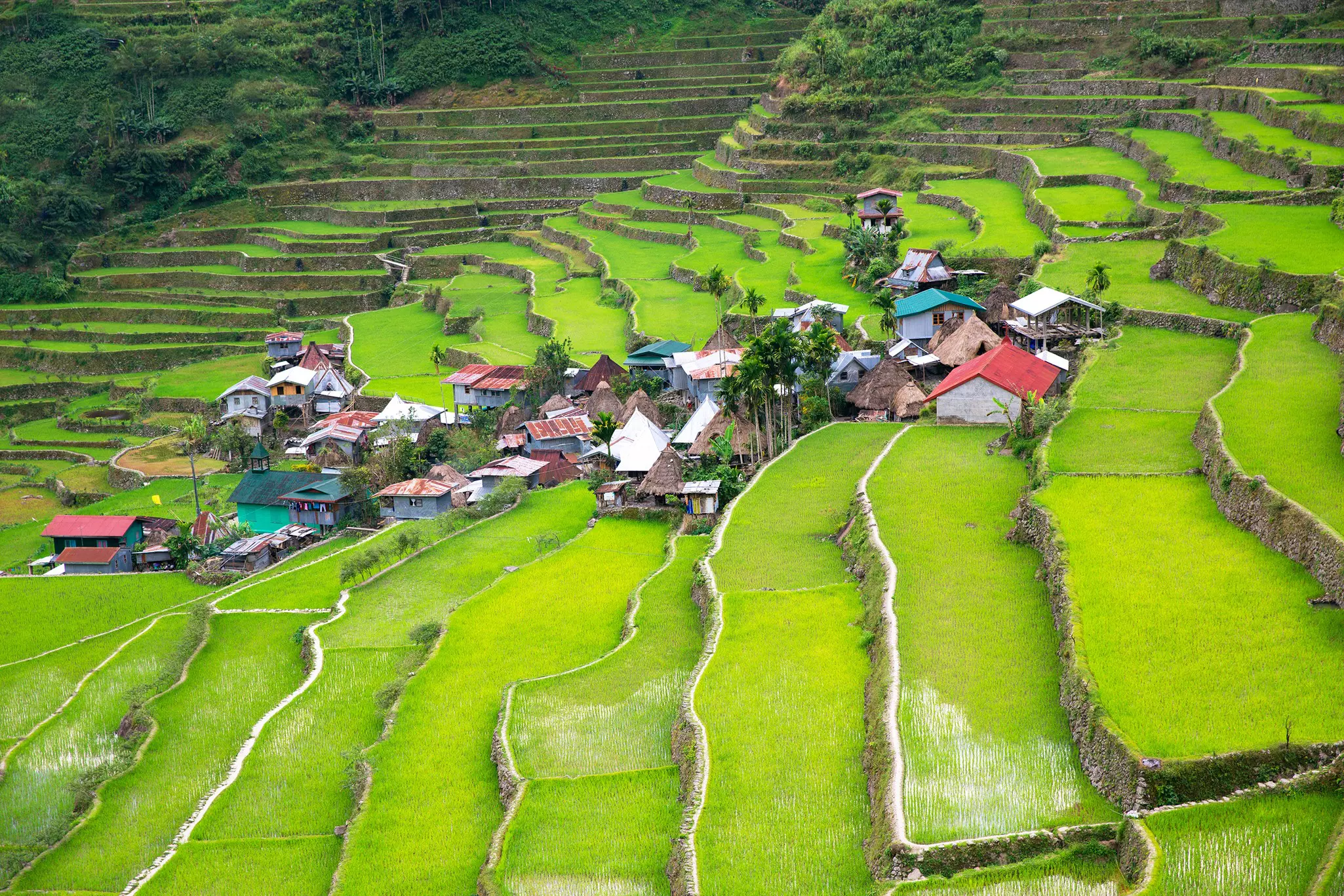Bright green rice paddies on a hillside with stepped sections. A small cluster of houses forms a village in the center.