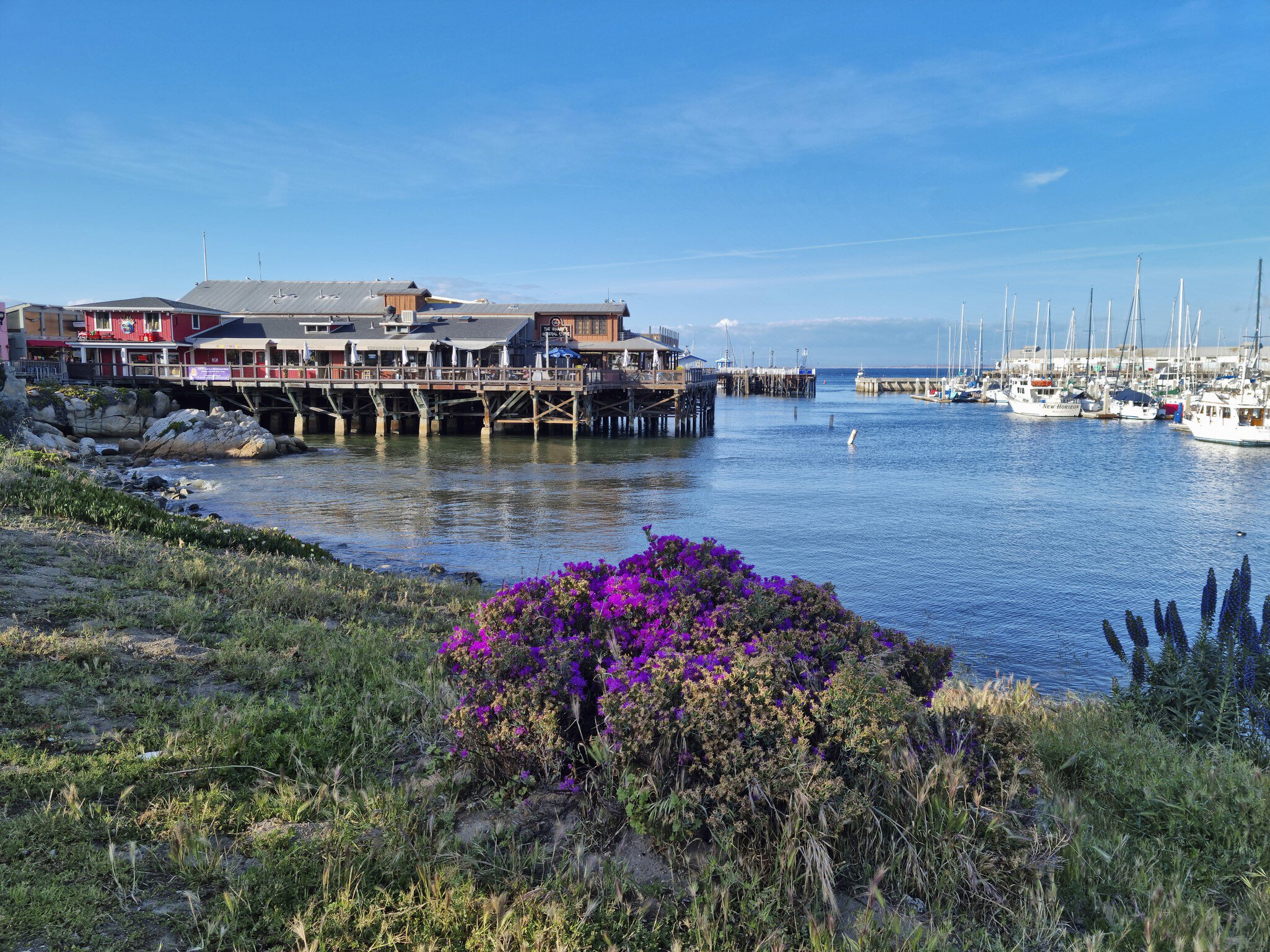 View of Fisherman's Wharf in Monterey, California, with wildflowers in the foreground.
1396218371