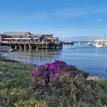 View of Fisherman's Wharf in Monterey, California, with wildflowers in the foreground.
1396218371