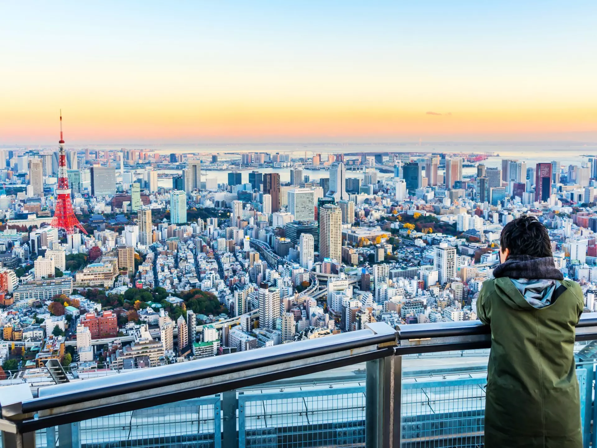 Tokyo at twilight viewed from Roppongi Hills. voyata/Shutterstock
