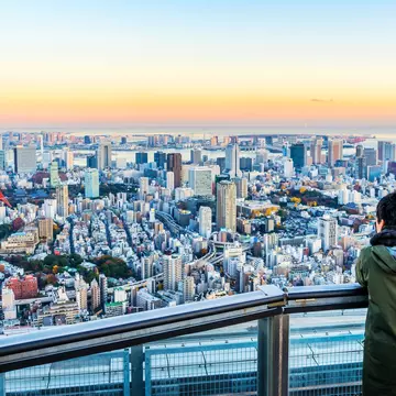 Tokyo at twilight viewed from Roppongi Hills. voyata/Shutterstock
