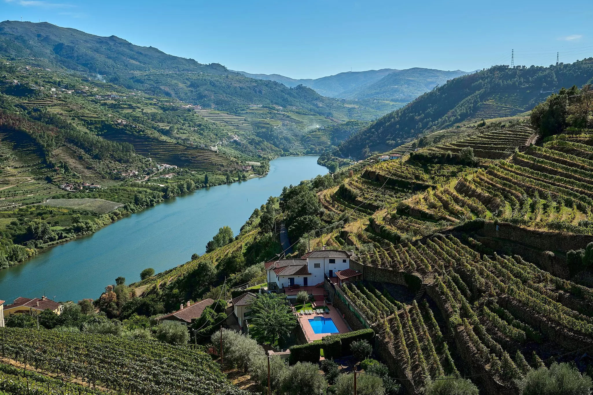 Vineyards along the Douro River in the Douro Valley, Portugal. 