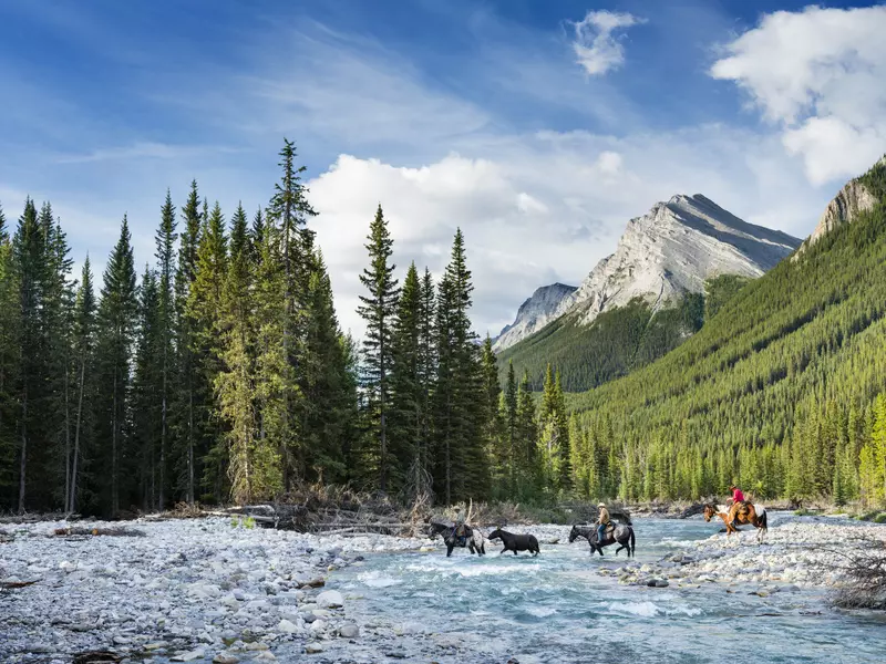 Riders on horseback cross a river in a woodland alpine landscape.