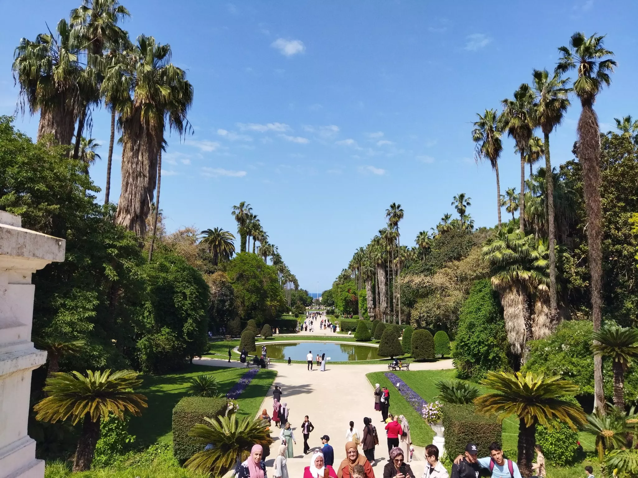 Fountain and palm trees in Jardin d'Essai du Hamma