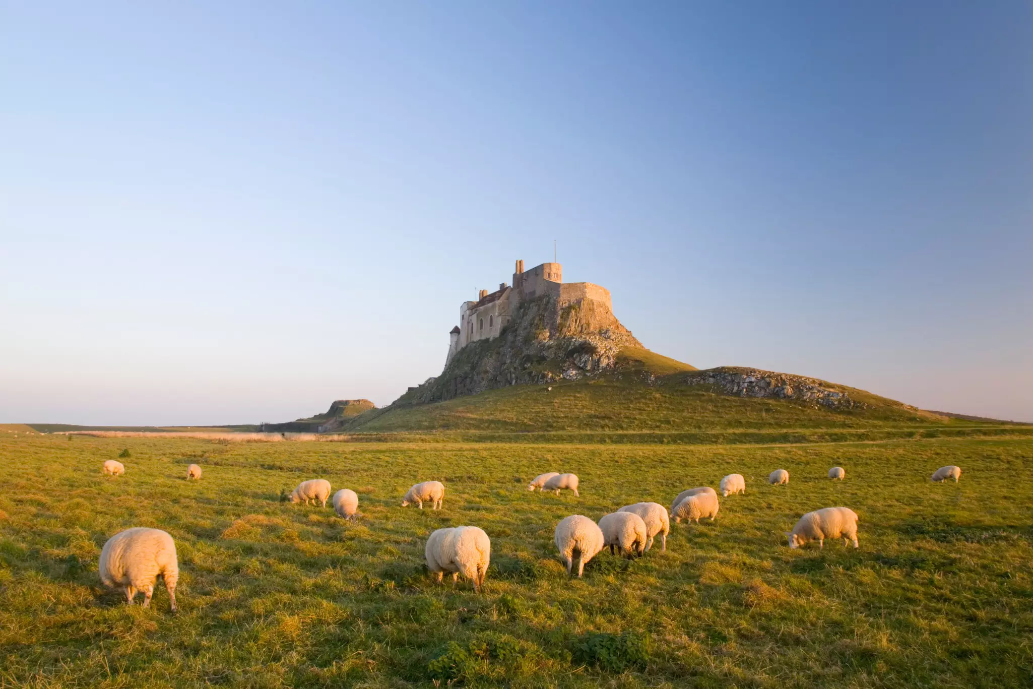 drone shot of Lindisfarne castle on holy island. 