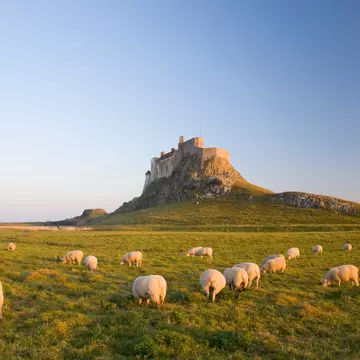 Lindisfarne Castle on the Northumberland coast, England. Michael Conrad/Shutterstock