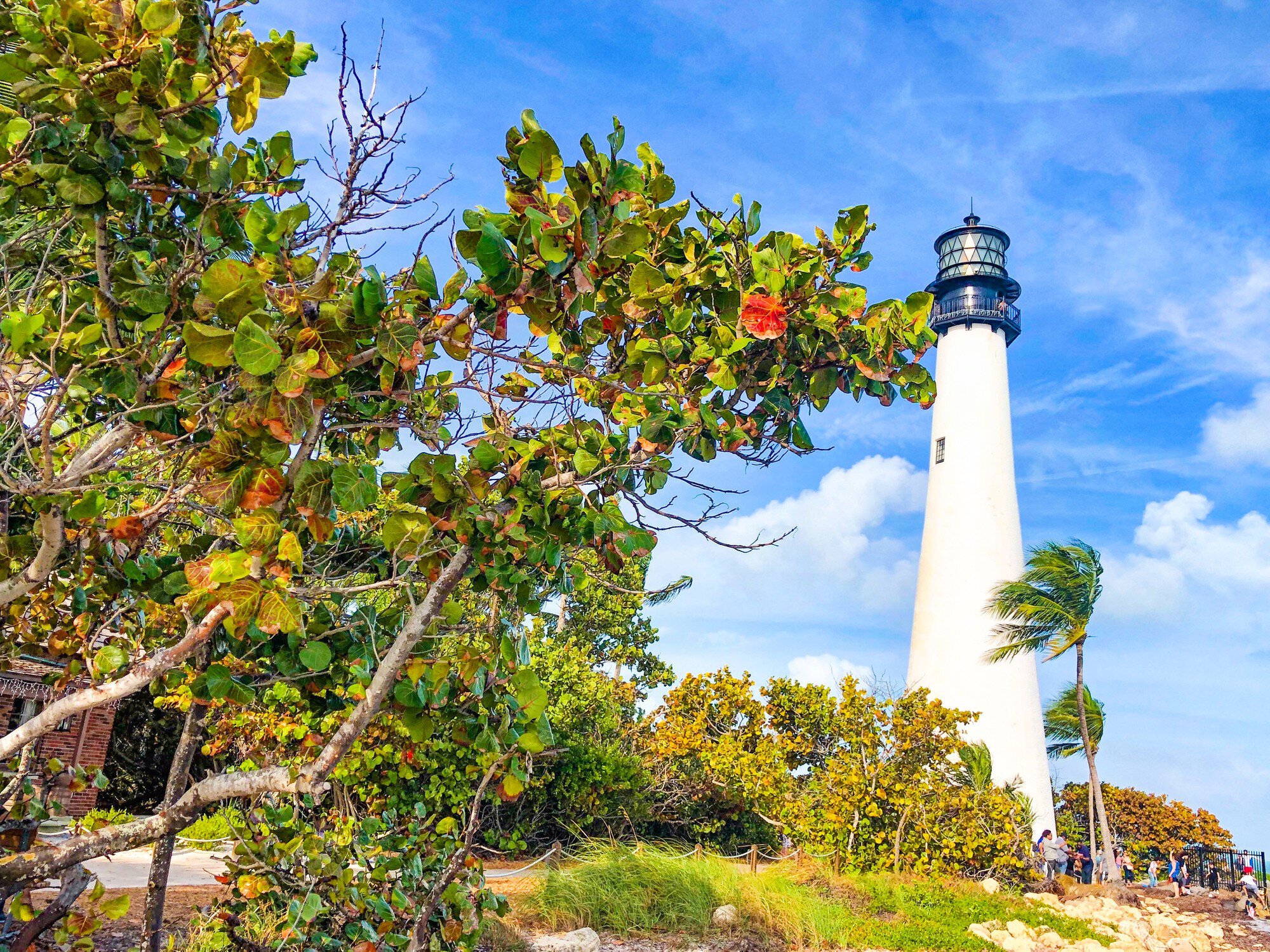 Natural scenery at Key Biscayne, Florida