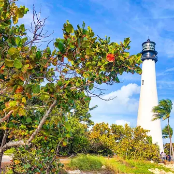 Natural scenery at Key Biscayne, Florida