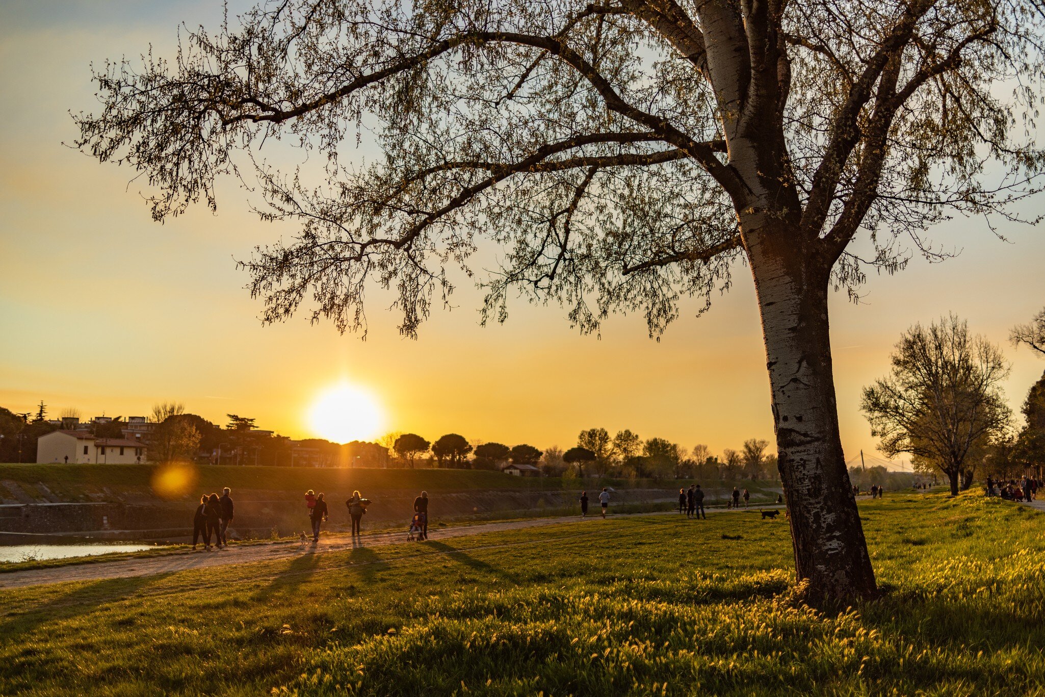 View of the sunset at the Parco delle Cascine in Florence, Italy.