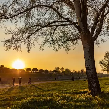 View of the sunset at the Parco delle Cascine in Florence, Italy.