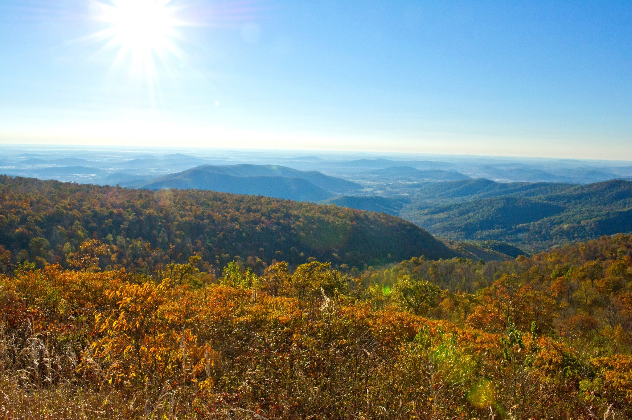 Trees at the peak of Fall color are seen looking out over the Piedmont October 26, 2013 from Shenandoah National Park in Virginia.  AFP PHOTO / Karen BLEIER        (Photo credit should read KAREN BLEIER/AFP/Getty Images)