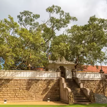 Jaya Sri Maha Bodhi temple in Anuradhapura Archaeological Museum, Sri Lanka.