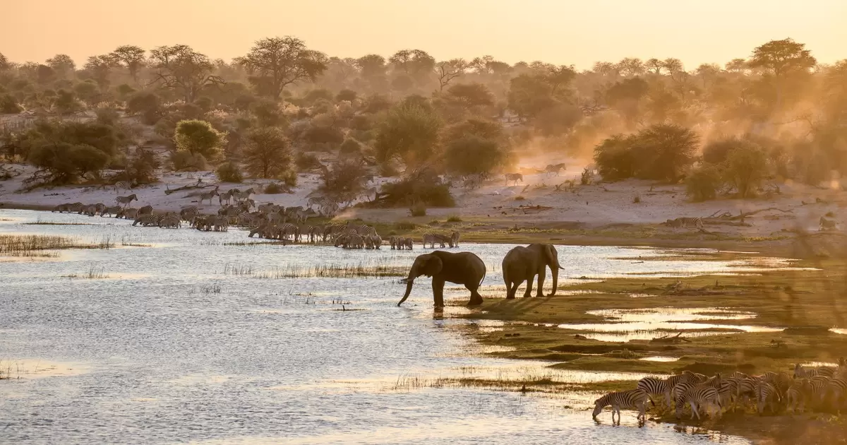8 of the best places to visit in Botswana for wildlife, safaris, and ...