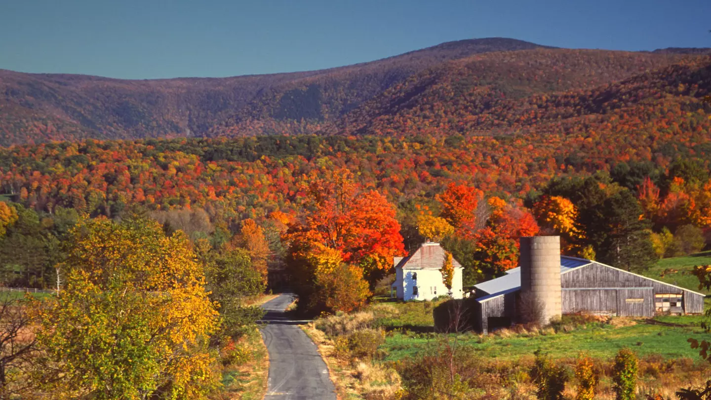 Fall colors in The Berkshires, Massachusetts, with Mt Greylock in the background