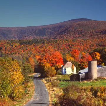 Fall colors in The Berkshires, Massachusetts, with Mt Greylock in the background
