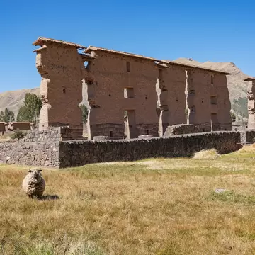 Ruins of the ancient Inca Temple of Wiracocha. Raqchi. High adobe walls, andesite base. A sheep grazes in a meadow, looking at the camera. Clear blue sky. Copy space. Peru. Cusco., License Type: media, Download Time: 2026-06-24T19:10:33.000Z, User: LP_NZhan, Editorial: false, purchase_order: 65050 - Digital Destinations and Articles, job: App Content, client: Lonely Planet App, other: Nadine Zhan 