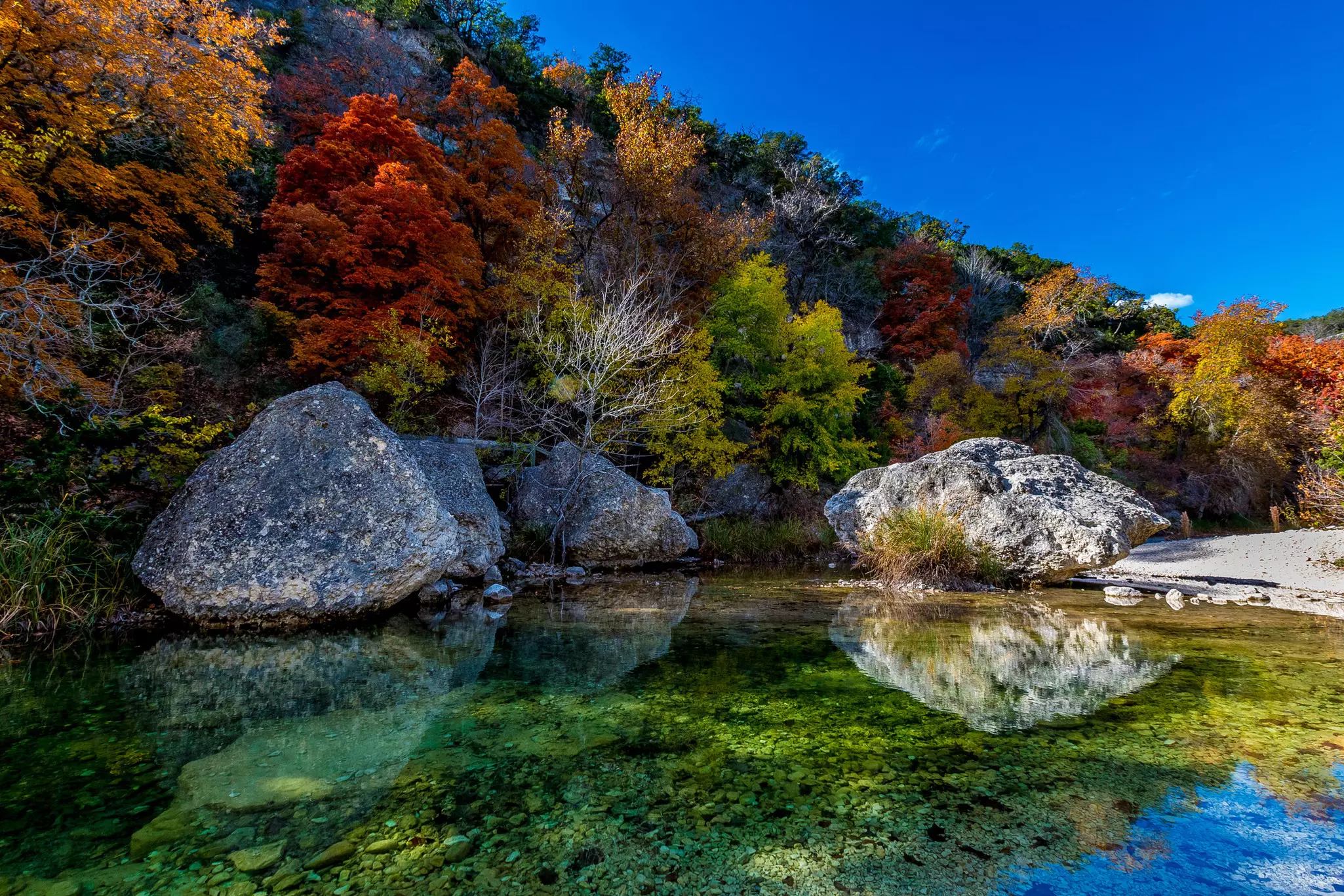A beautiful crystal-clear pool in Lost Maples State Park, Texas © Richard McMillin / Getty Images / iStockphoto