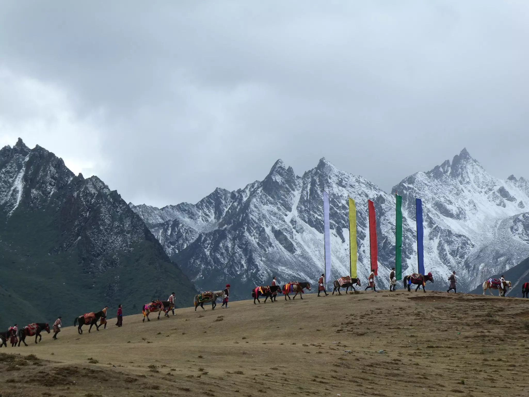 A group of horses walk in front of snowy mountains.