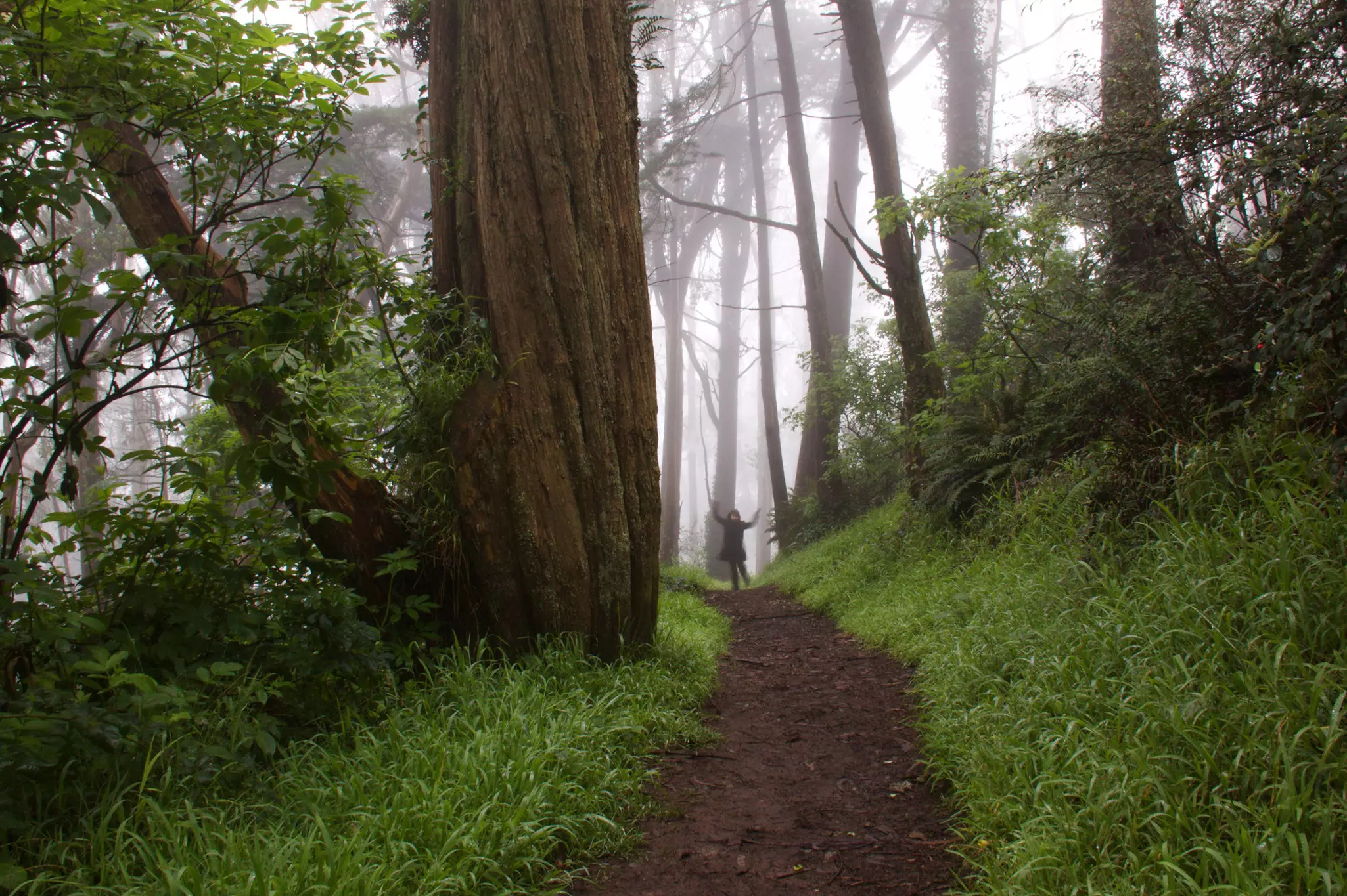 The 1-mile loop up Mt Davidson is both beautiful and not too strenuous for kids © loridambrosio / Getty Images