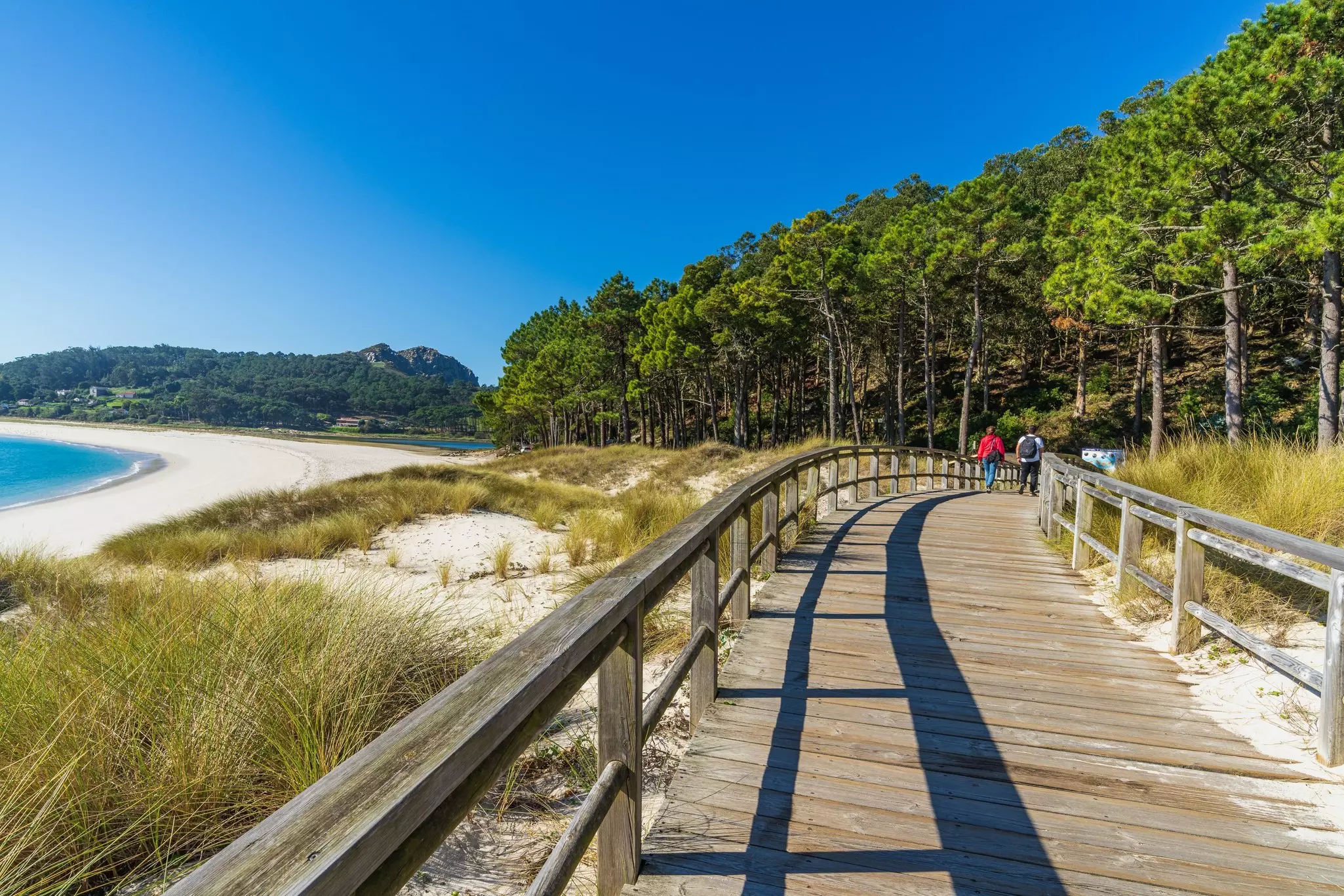 A wooden walkway by the coast leads into a forested area.