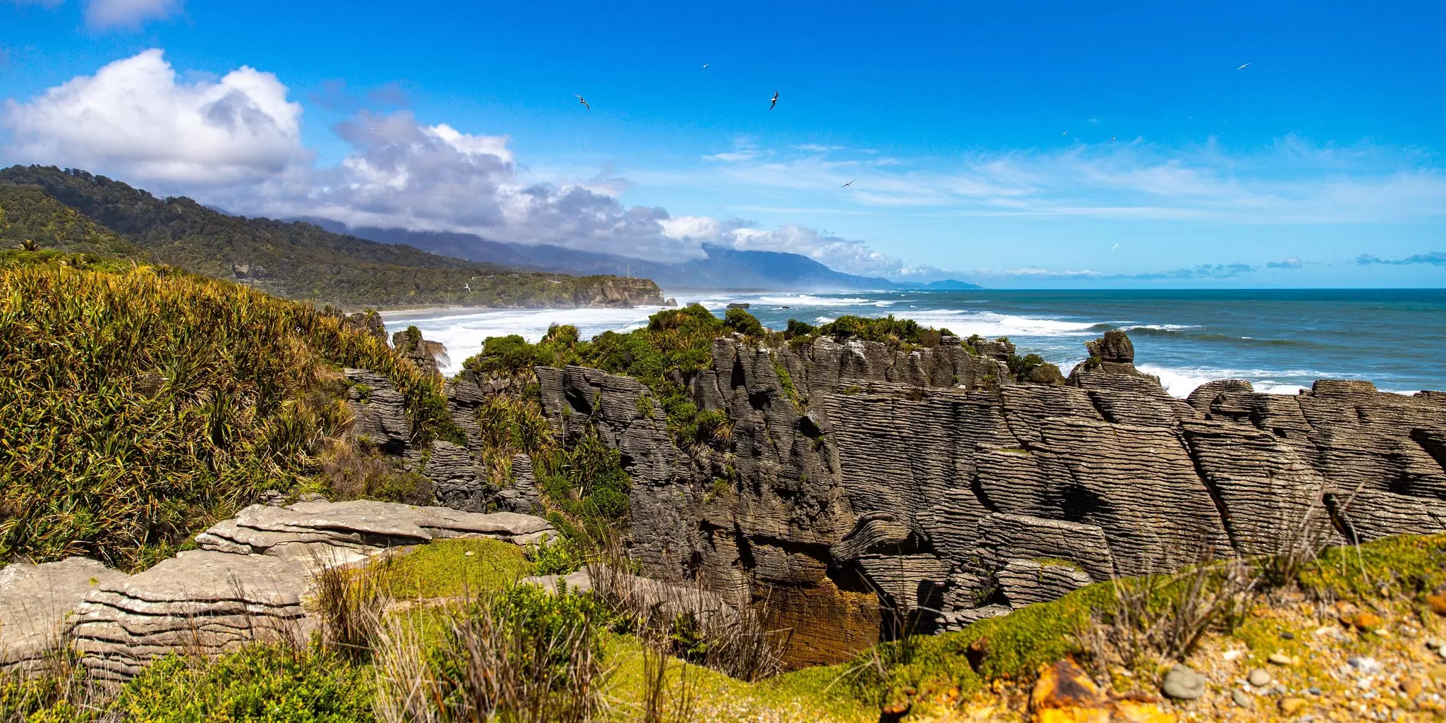 A walker on the Paparoa Track in New Zealand