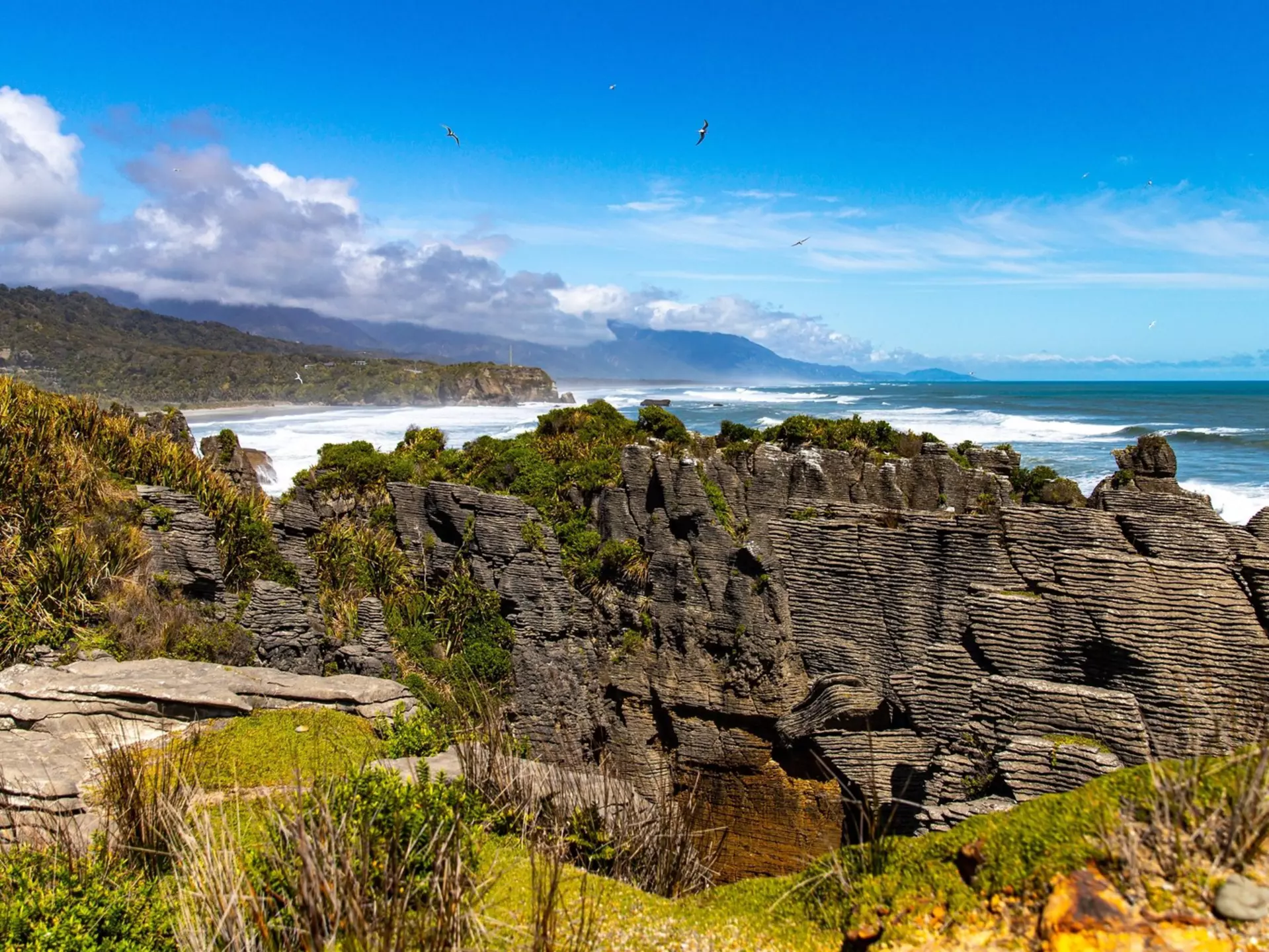 panorama of famous pancake rocks and blowholes track in paparoa national park, west coast of new zealand south island, License Type: media, Download Time: 2025-05-28T10:03:56.000Z, User: lonelyplanetmedia, Editorial: false, purchase_order: 65050 - Digital Destinations and Articles, job: Global Publishing WIP, client: Global Publishing WIP, other: Peterson Haggarty // SS Comp Ingestion