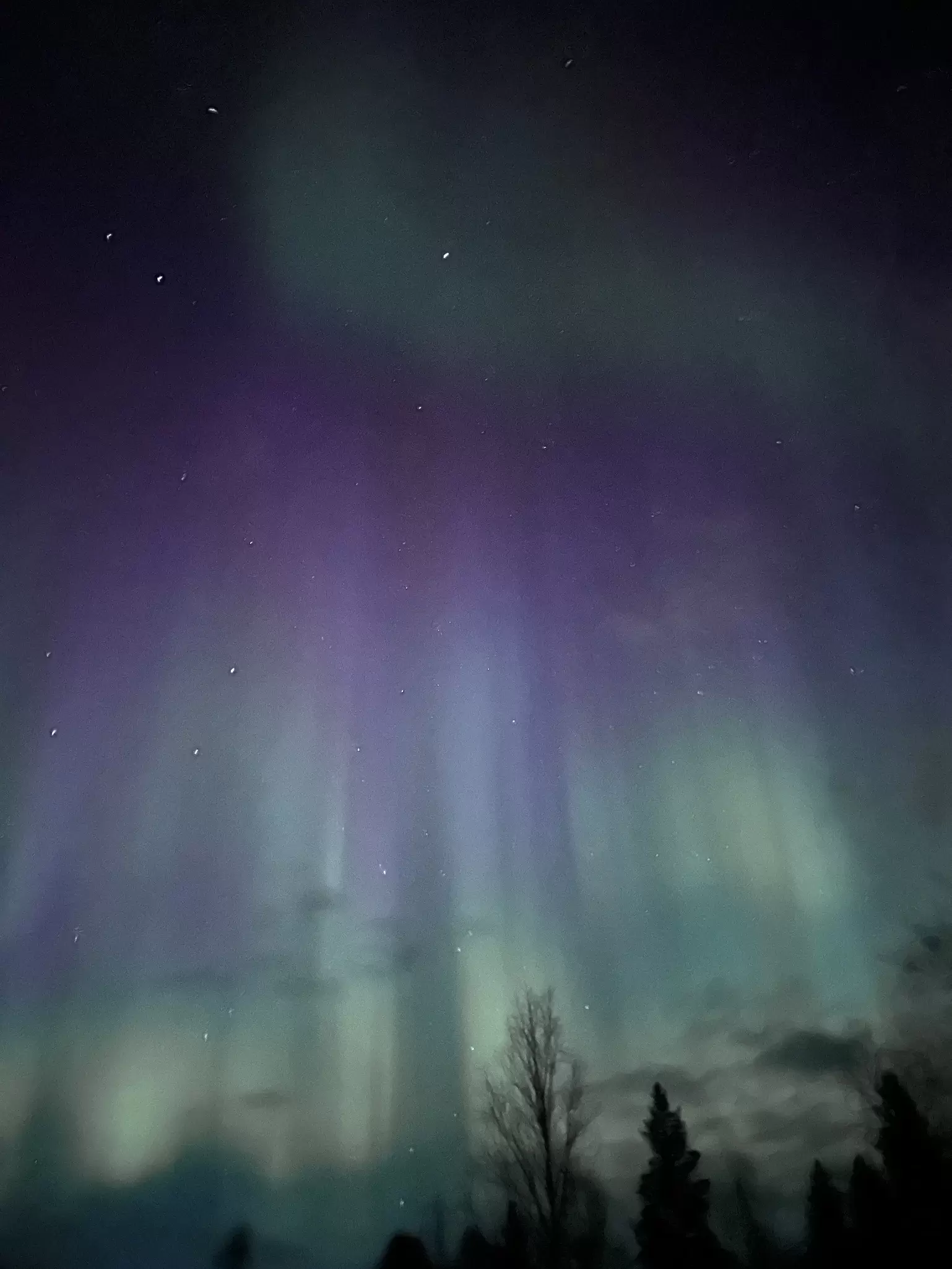 The aurora borealis in the sky over Lapland, Finland. 