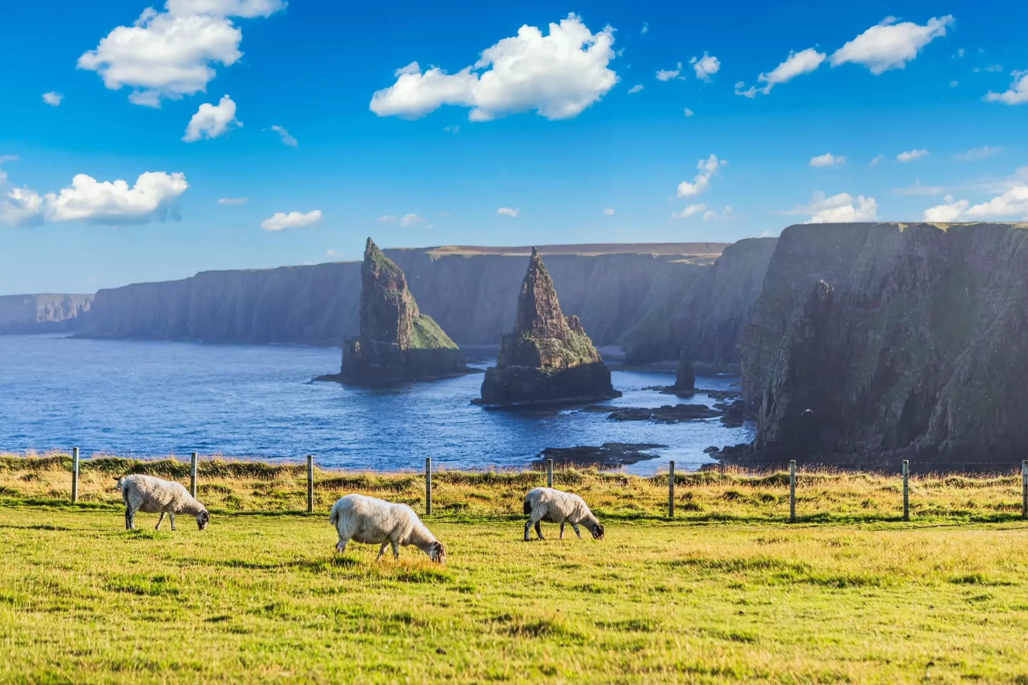 The “sea stacks” at Duncansby are a highlight of Scotland’s east coast © EyesTravelling / Shutterstock