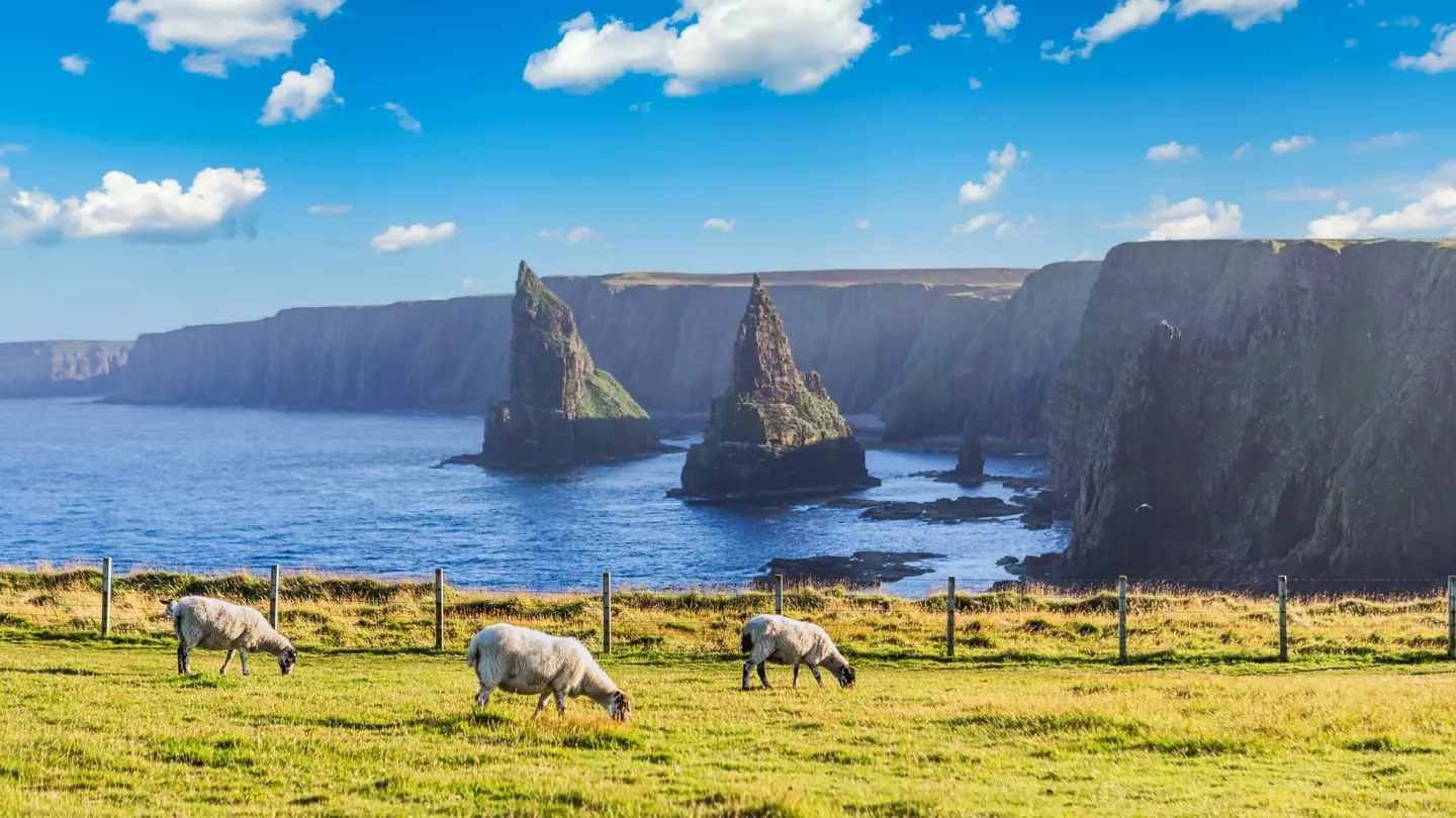 The “sea stacks” at Duncansby are a highlight of Scotland’s east coast © EyesTravelling / Shutterstock