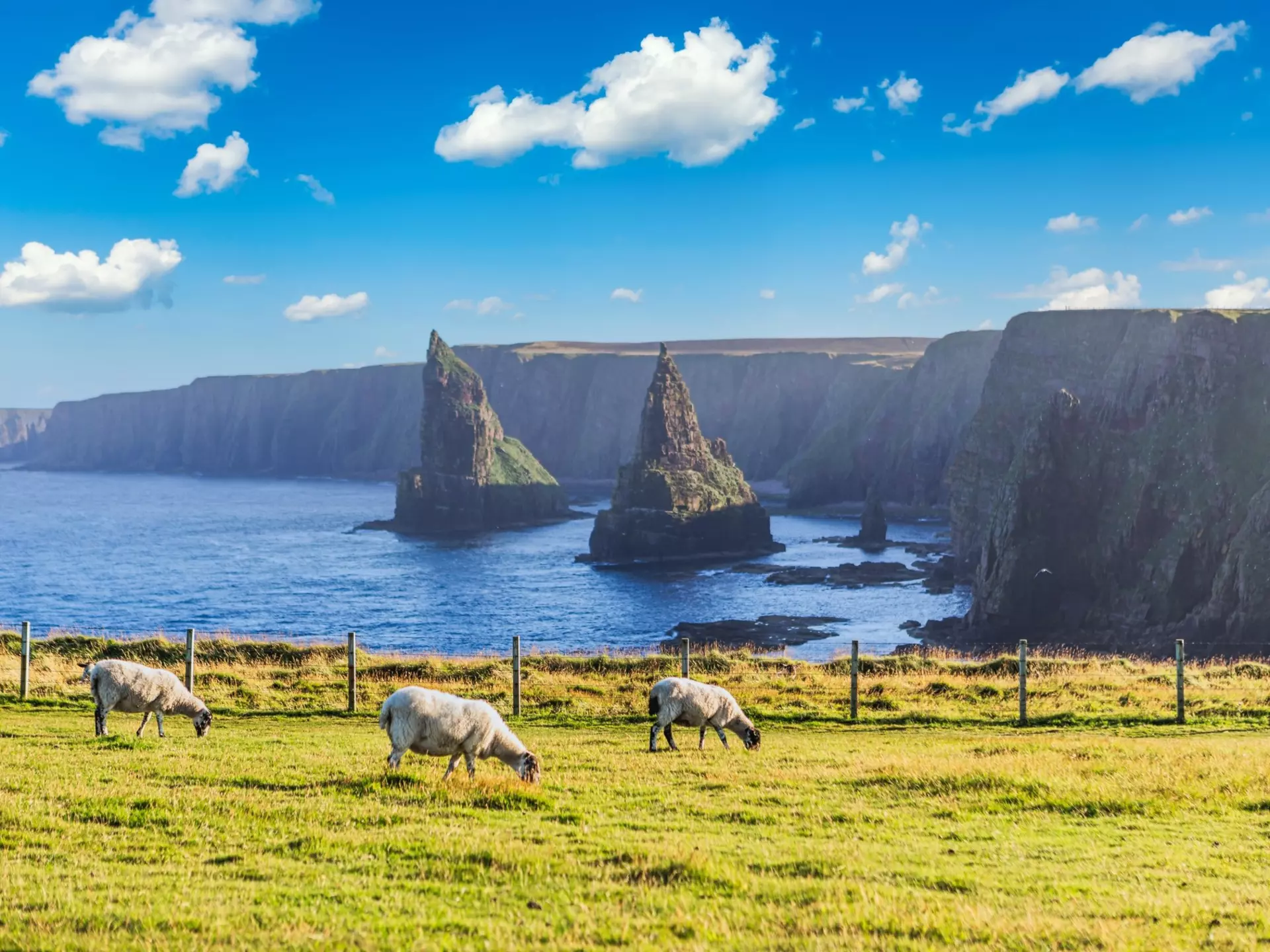 The “sea stacks” at Duncansby are a highlight of Scotland’s east coast © EyesTravelling / Shutterstock