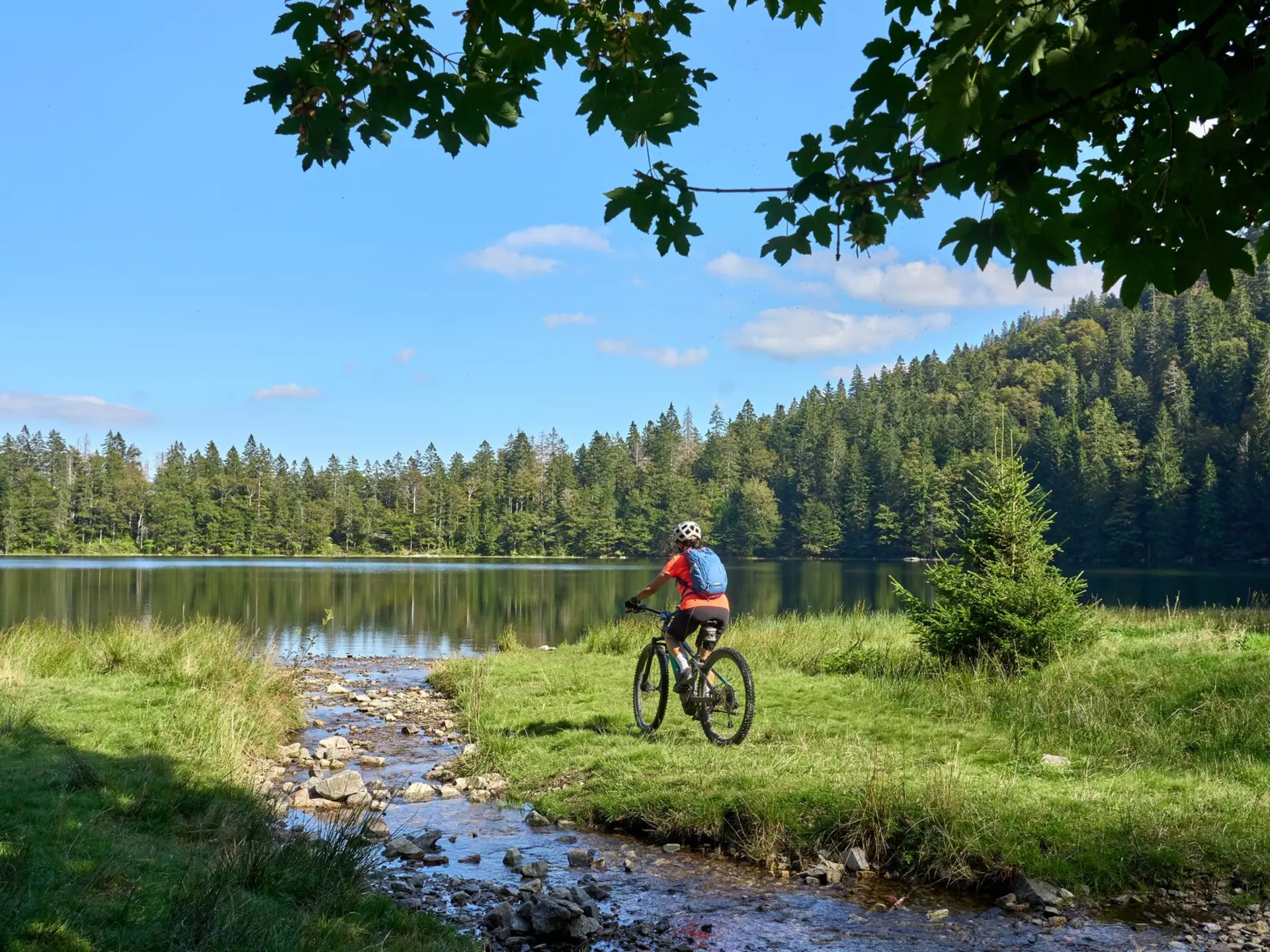 Germany's Black Forest is defined by beautiful scenery, outdoor activities and historic towns. Umomos/Shutterstock