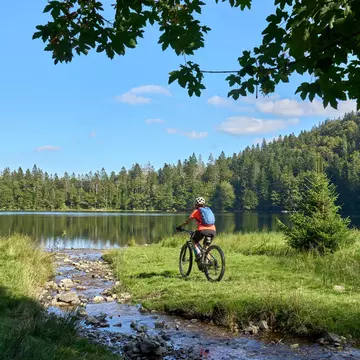 Germany's Black Forest is defined by beautiful scenery, outdoor activities and historic towns. Umomos/Shutterstock