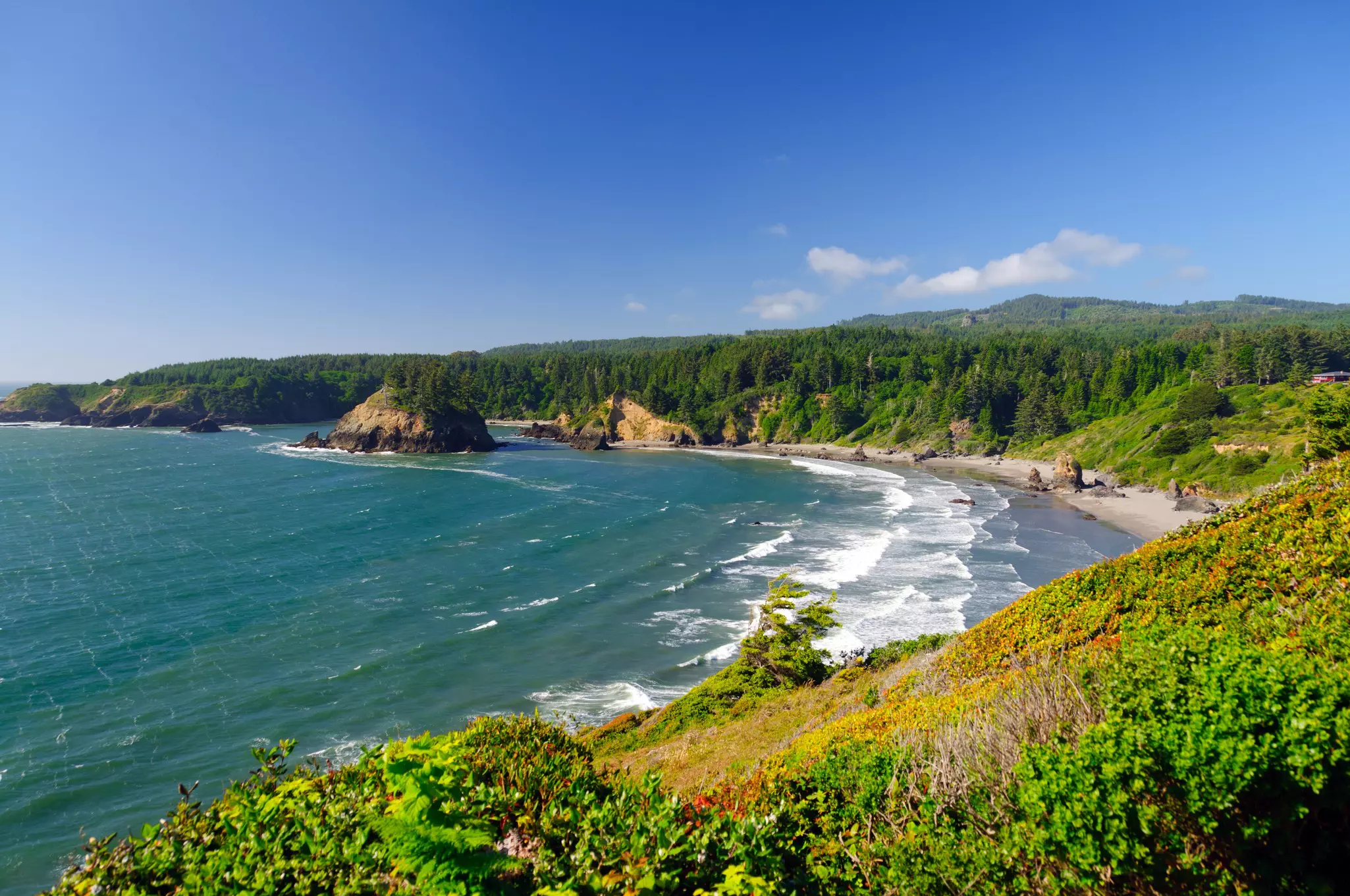 A forest ends at an ocean beach with waves crashing and large rock formations.